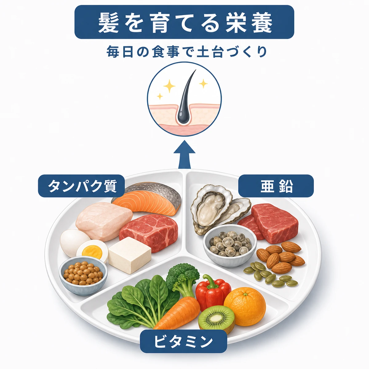 髪に必要な栄養素と食材をワンプレートで描いた食事の医療イラスト