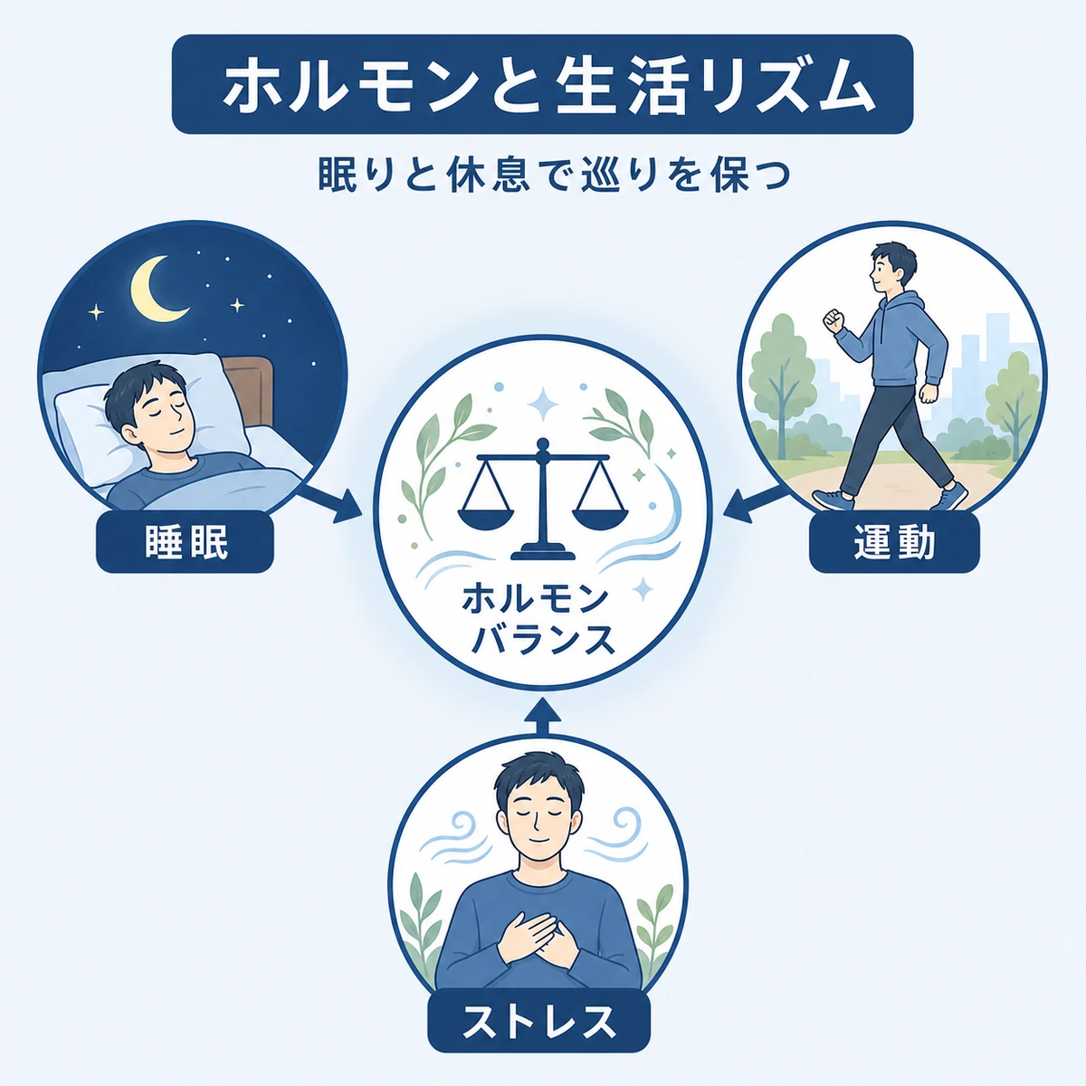 睡眠や運動などホルモンバランスを支える生活習慣を中心にまとめた医療イラスト