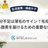 鉄分不足は薄毛のサイン？毛母細胞へ酸素を届けるための重要な栄養