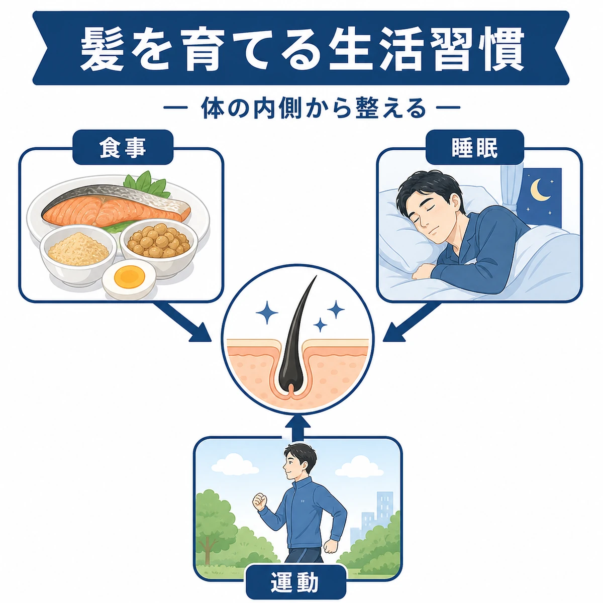 食事・睡眠・運動の3つの生活習慣が髪の健康を支える様子を表した医療イラスト