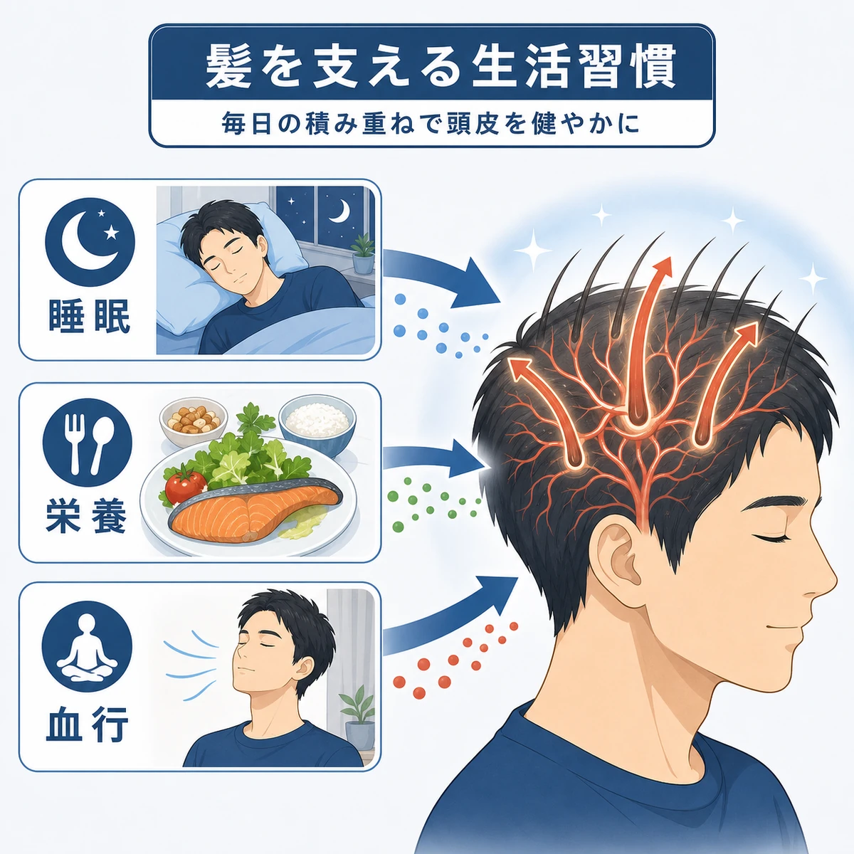 睡眠と栄養と血行が頭皮の健康を支える生活習慣の関係を表した医療イラスト