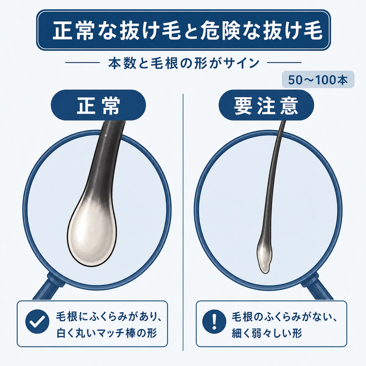 ふっくらした正常な毛根と細くやせた毛根を並べて抜け毛の見分け方を表した医療イラスト