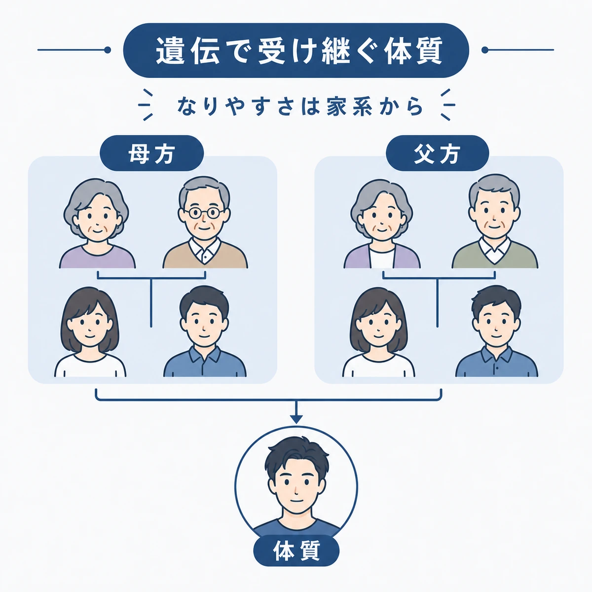 薄毛になりやすい体質が母方や父方の家系から受け継がれる仕組みを示した医療イラスト