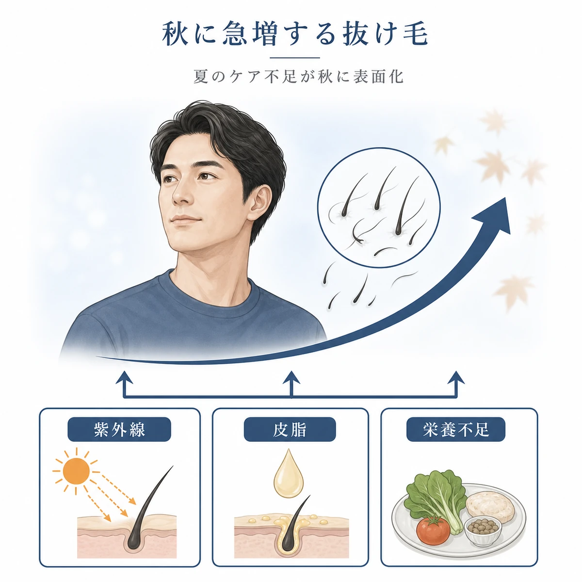 夏に蓄積したダメージが秋の抜け毛急増として表れる仕組みを表した医療イラスト