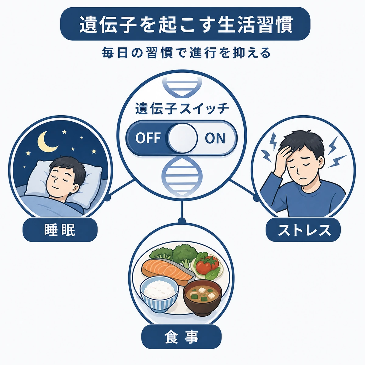 睡眠やストレスなどの生活習慣が薄毛遺伝子のスイッチに影響する様子を描いた医療イラスト
