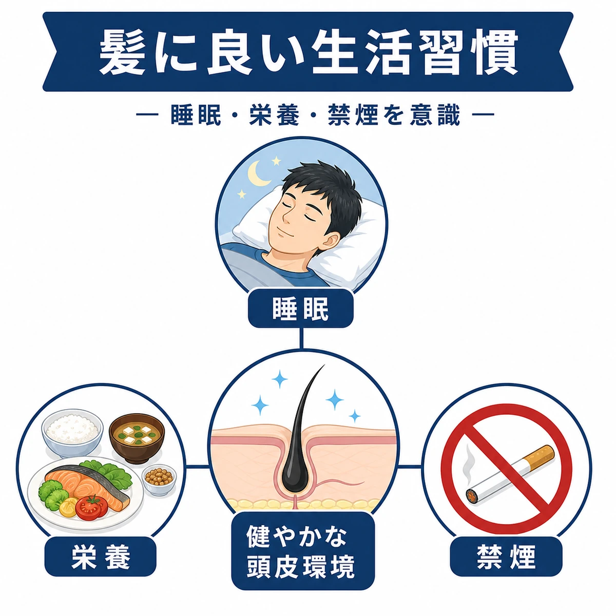M字はげ対策として見直したい睡眠・栄養・禁煙の生活習慣を表した医療イラスト