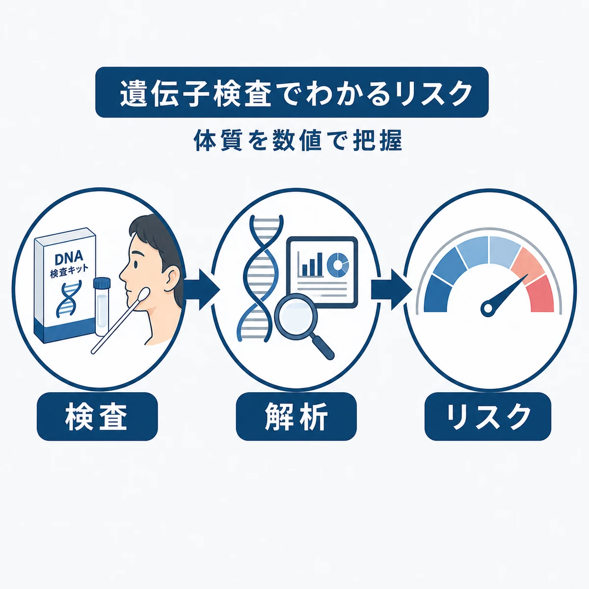 検査キットからDNA解析を経て薄毛リスクを判定するまでの流れを表した医療イラスト