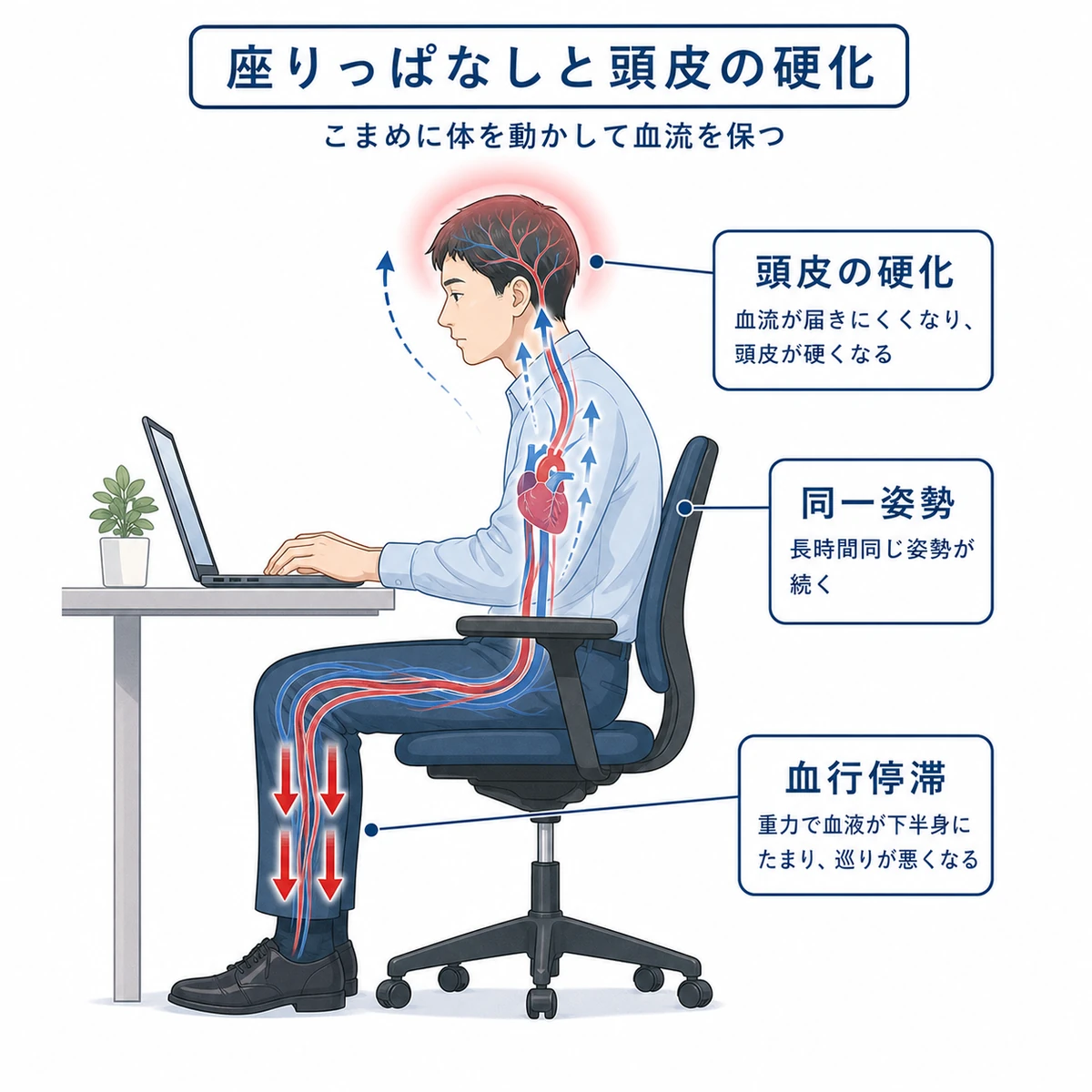長時間のパソコン作業で血流が滞り頭皮が硬くなる流れを表した医療イラスト