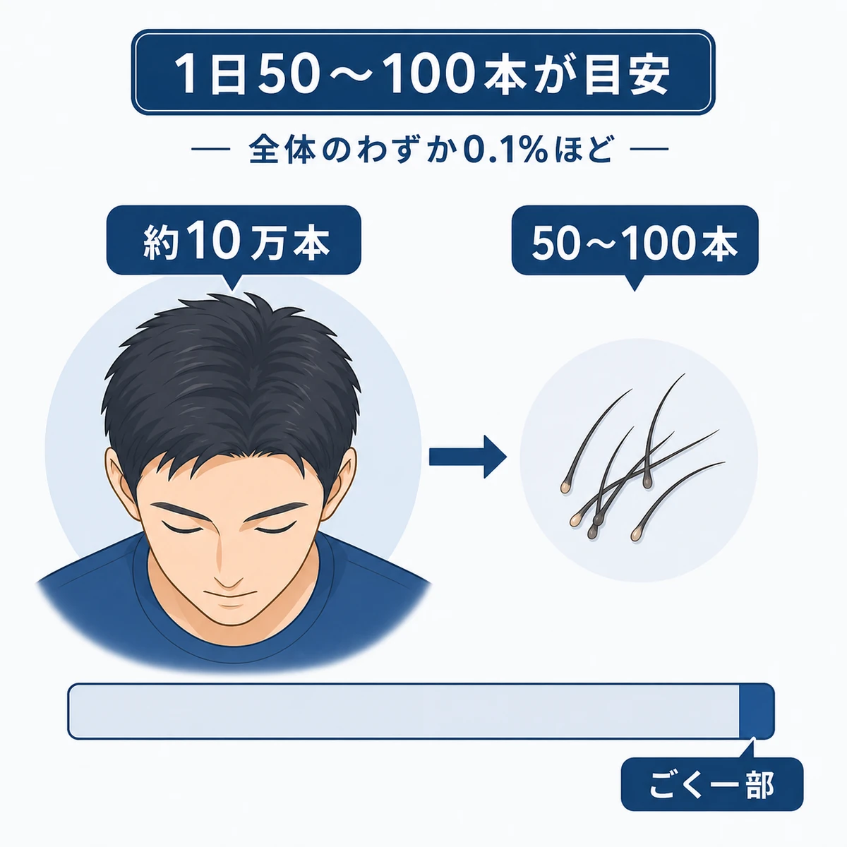 髪全体に対して1日に抜ける本数がごくわずかな割合だと示した医療イラスト