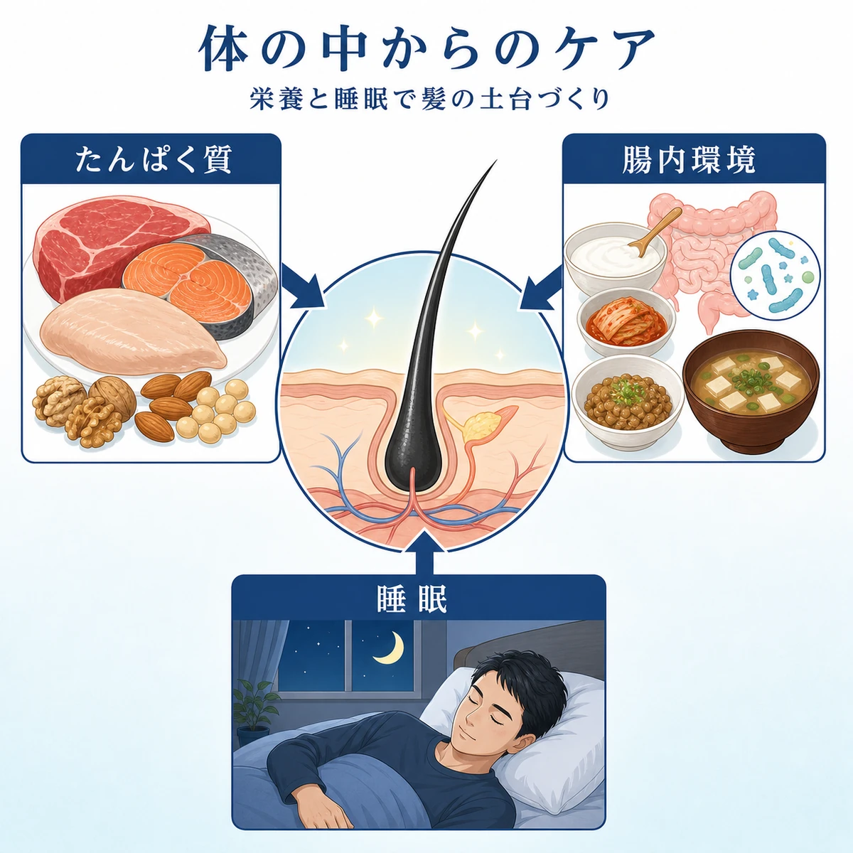 食事と腸内環境と睡眠が髪の成長を支える関係を表した医療イラスト