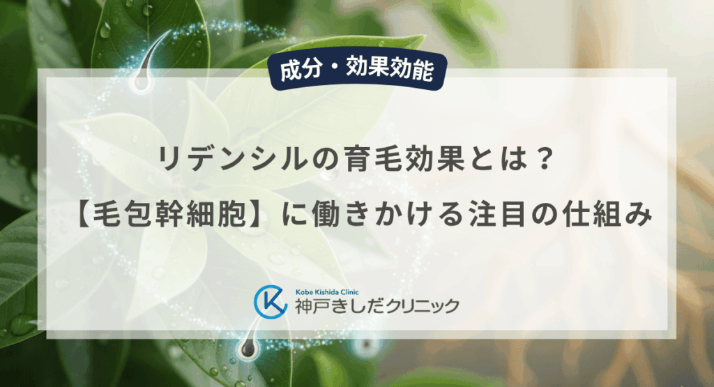リデンシルの育毛効果とは？【毛包幹細胞】に働きかける注目の仕組み