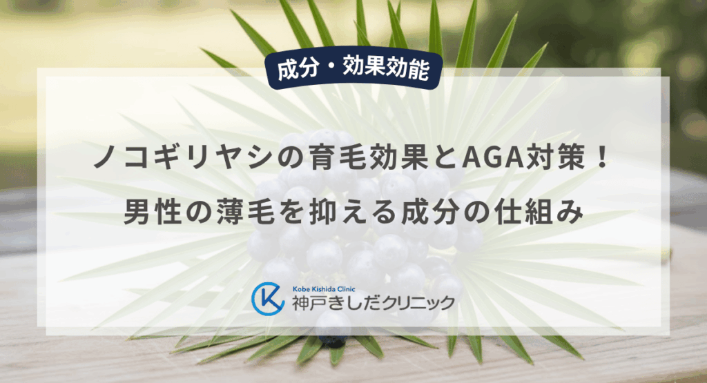 ノコギリヤシの育毛効果とAGA対策！男性の薄毛を抑える成分の仕組み