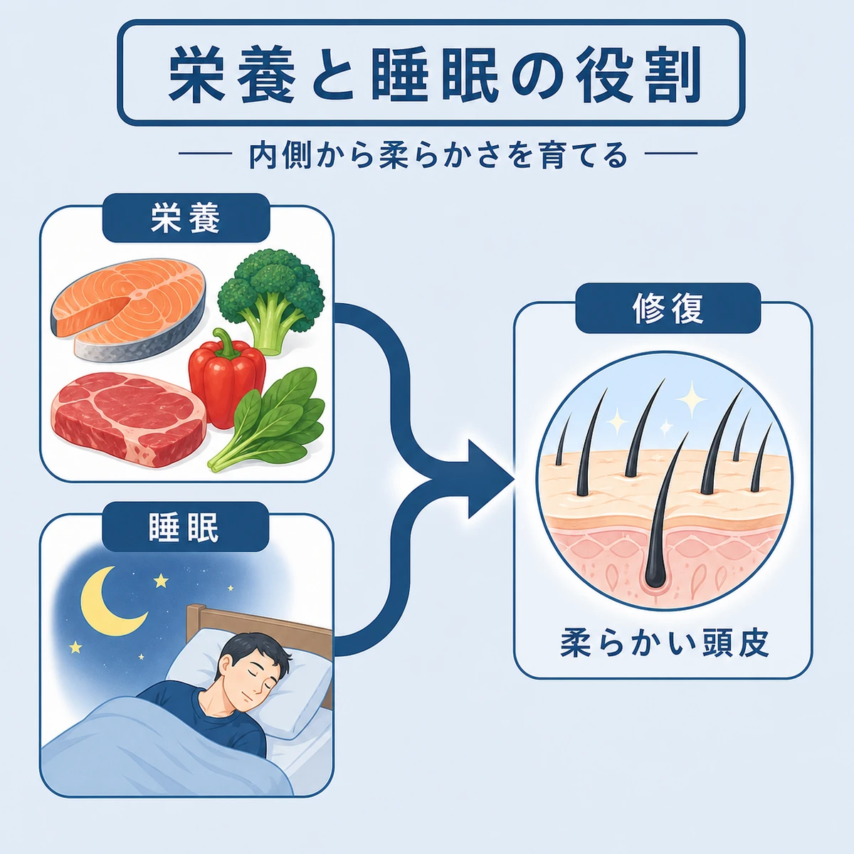 栄養摂取と睡眠が内側から頭皮のコンディションを整える流れを表した医療イラスト