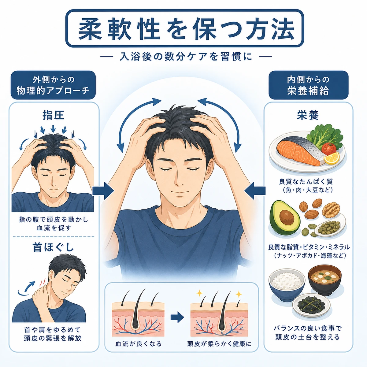 成人男性が頭皮マッサージと栄養補給を組み合わせて柔軟性を保つ方法を描いた医療イラスト
