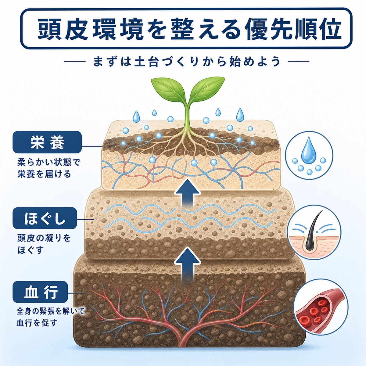 頭皮を土壌に見立てて血行促進からほぐし、栄養補給へ進む育毛ケアの優先順位を描いた医療イラスト