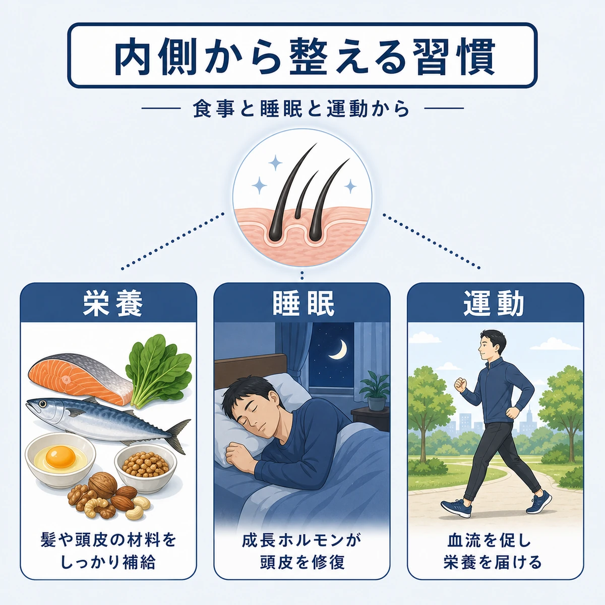 栄養と睡眠と運動で頭皮環境を内側から整える生活習慣を表した医療イラスト