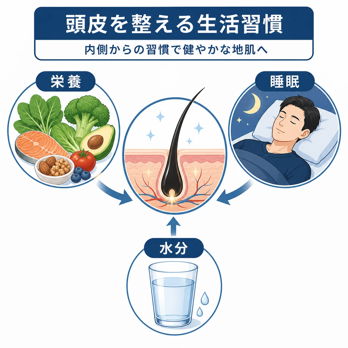栄養と睡眠と水分補給で頭皮環境を整える生活習慣を表した医療イラスト