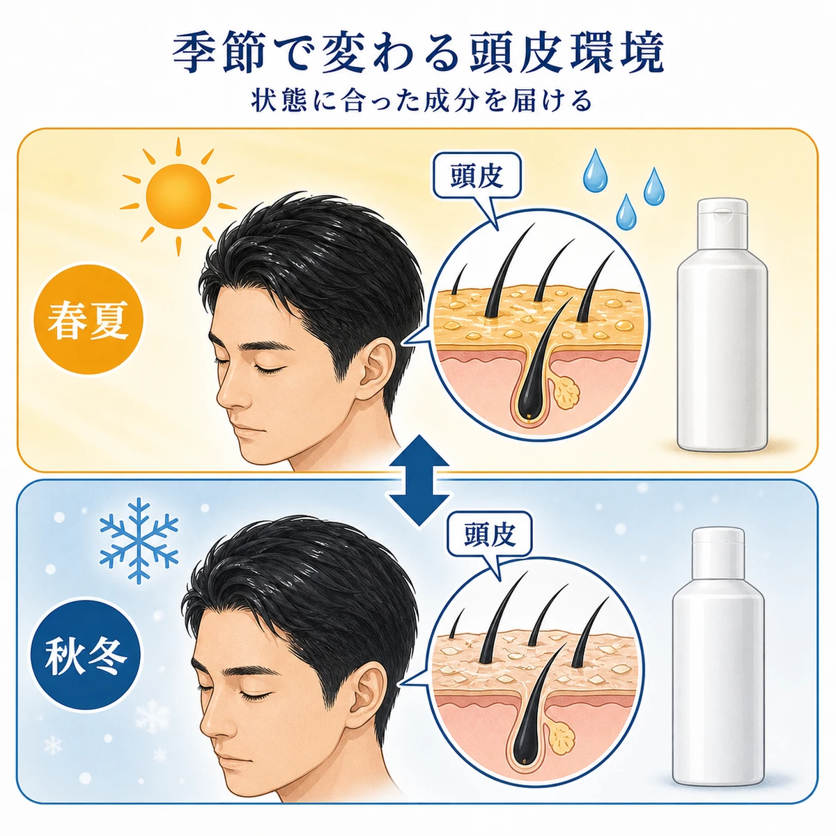 春夏と秋冬で異なる頭皮環境と育毛剤成分の関係を表した医療イラスト