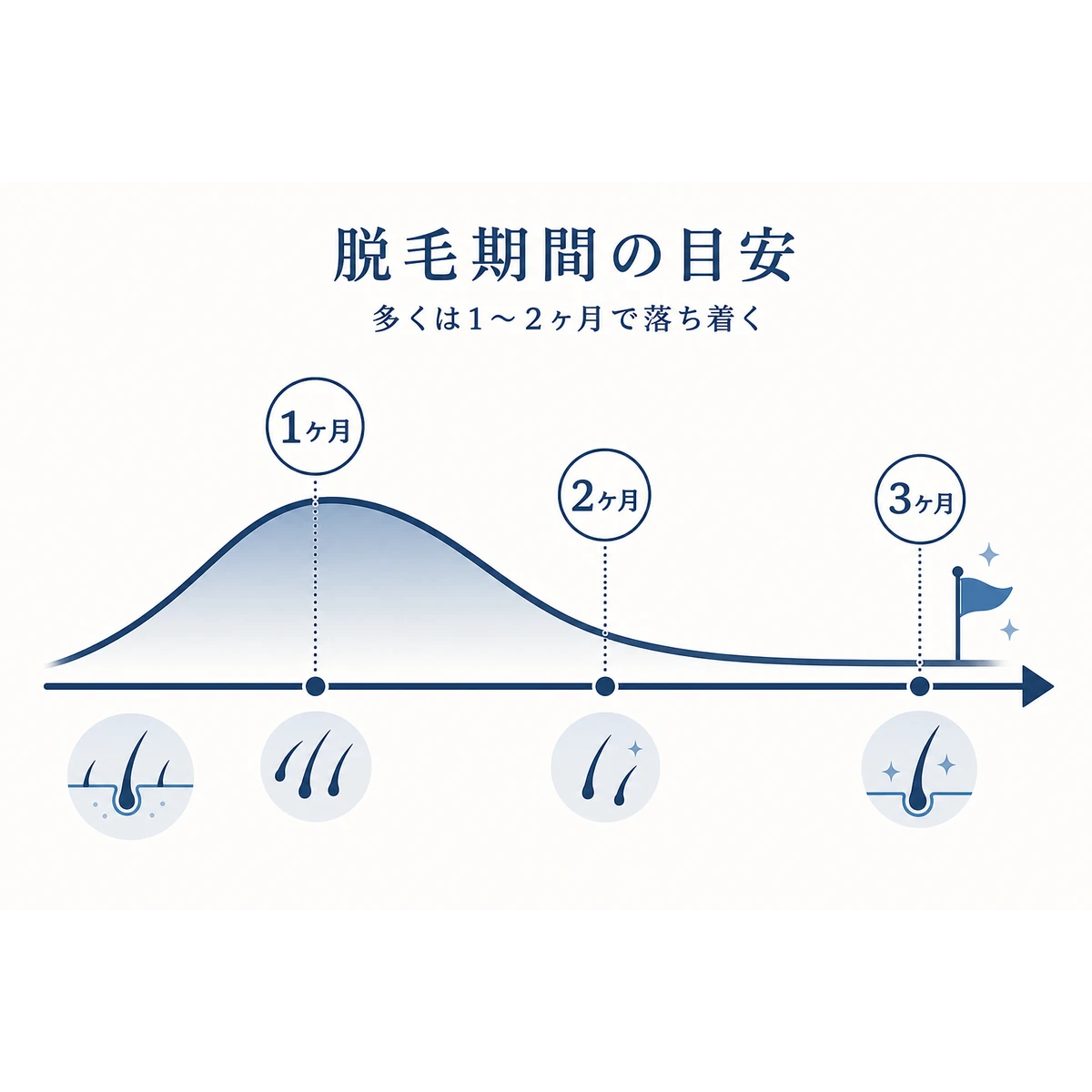 季節性の抜け毛がピークから落ち着くまでの期間の流れを表した医療イラスト