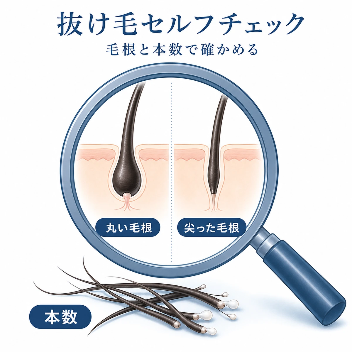 虫めがねで健康な毛根と異常な毛根を見比べる抜け毛セルフチェックの様子を表した医療イラスト