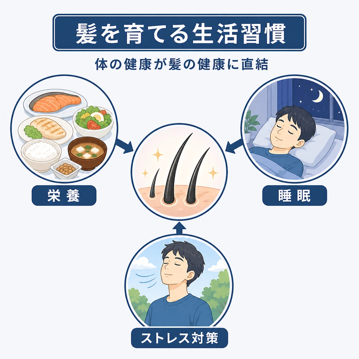 栄養と睡眠とストレス対策が髪の健康を支える関係を表した医療イラスト