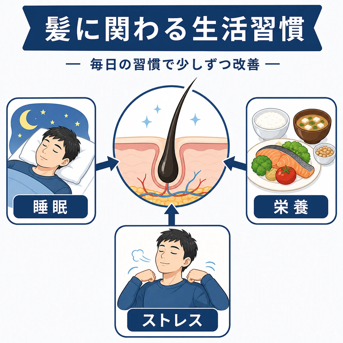 睡眠と栄養とストレスが髪の健康に関わるしくみを表した医療イラスト