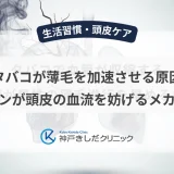 タバコが薄毛を加速させる原因｜ニコチンが頭皮の血流を妨げるメカニズム