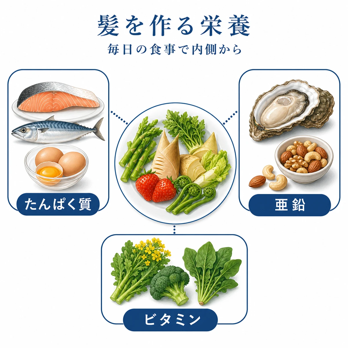 髪に必要な栄養素と春の食材を分類して並べた医療イラスト