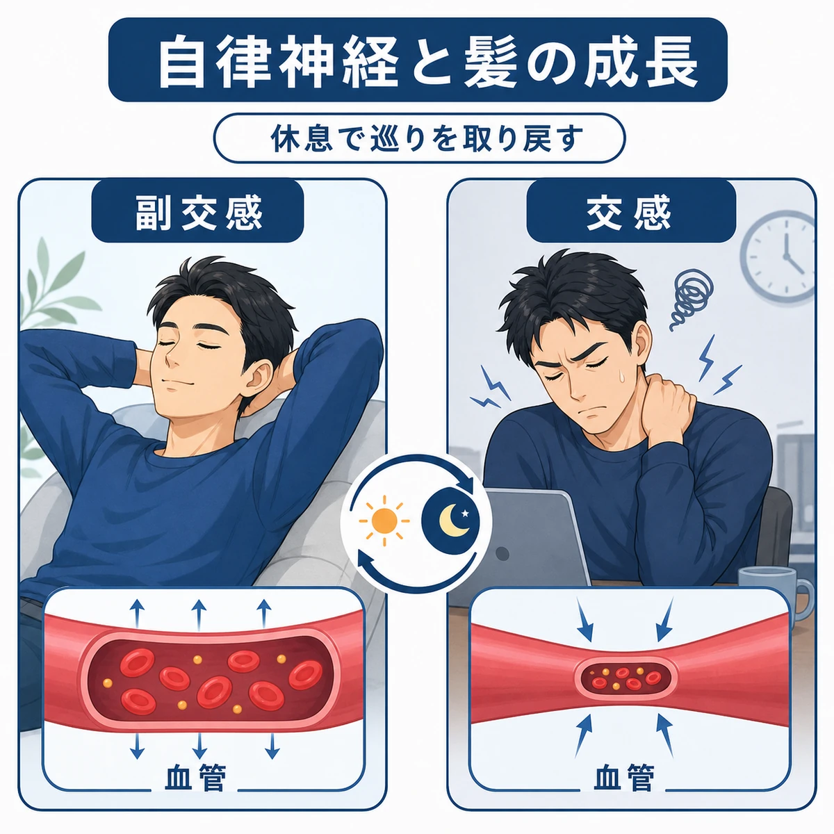 自律神経の切り替わりと血管の変化を比較した医療イラスト