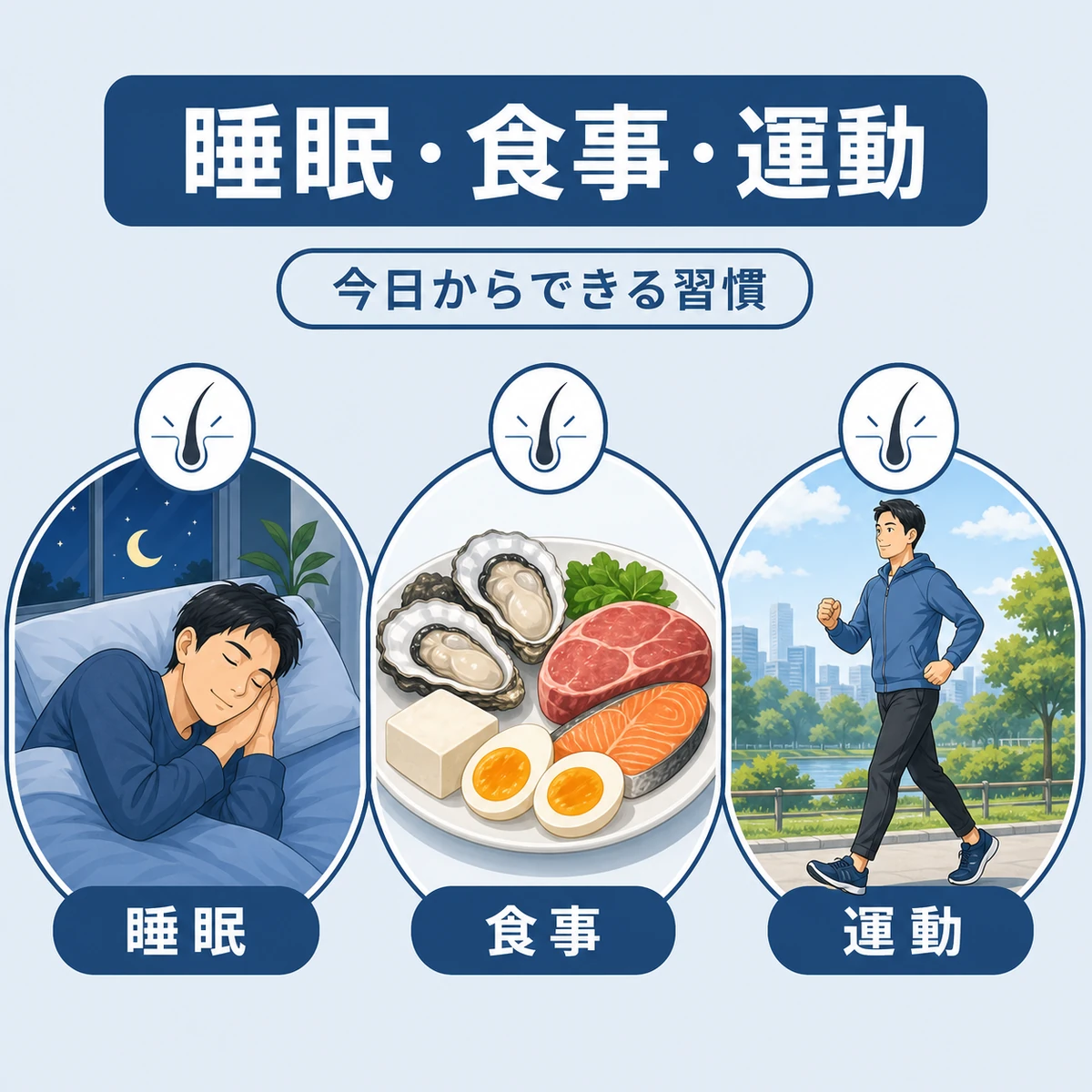 睡眠と食事と運動の3つの生活習慣でストレス性の抜け毛を防ぐ対策を並べた医療イラスト