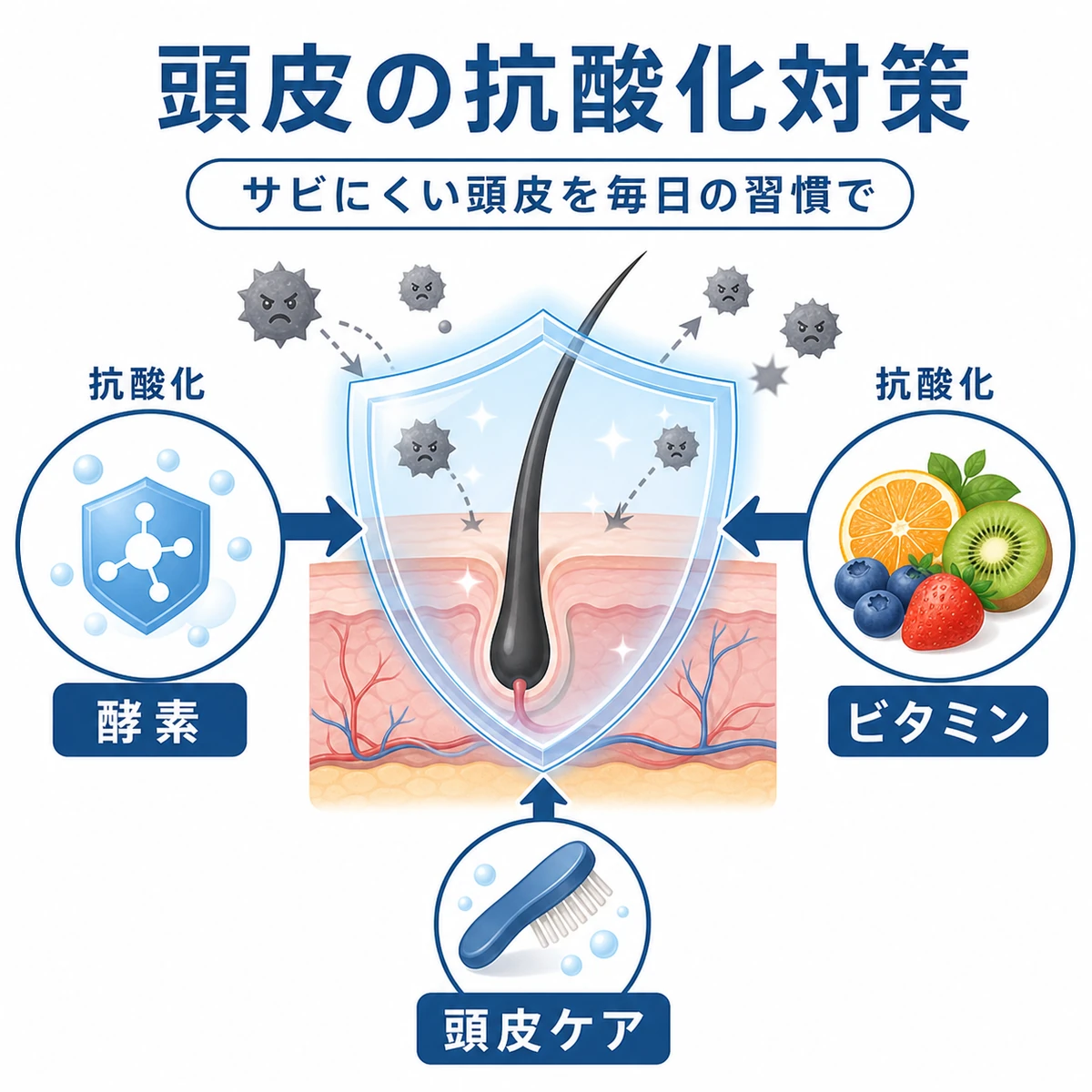 抗酸化酵素やビタミンで頭皮を活性酸素から守るしくみを表した医療イラスト