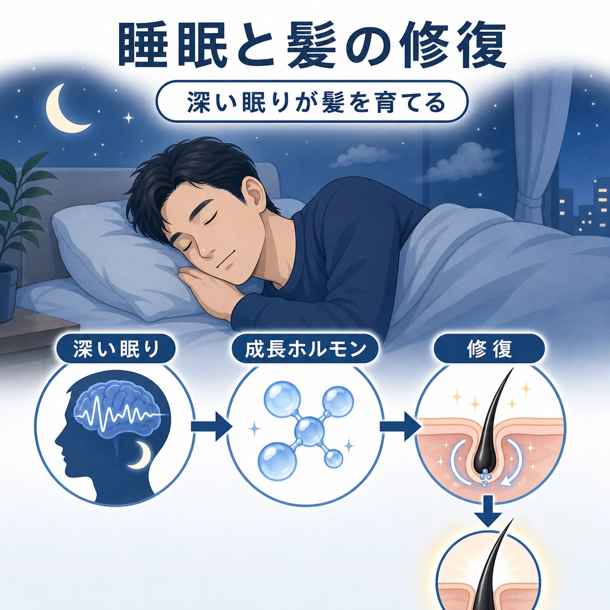 質のよい睡眠が成長ホルモンを促し髪を修復するしくみを示した医療イラスト