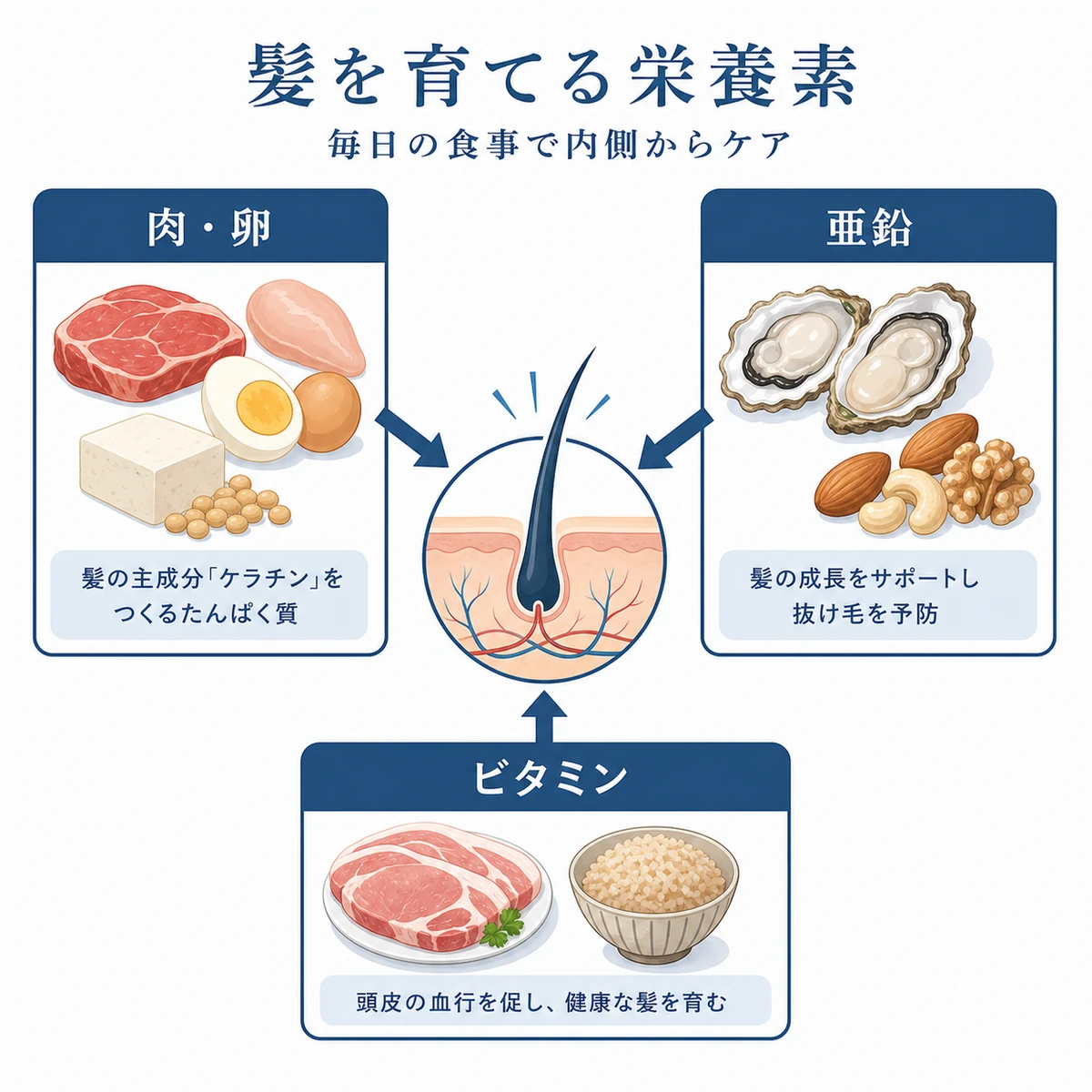 髪の成長を支えるタンパク質や亜鉛などの栄養素を食材で表したイラスト