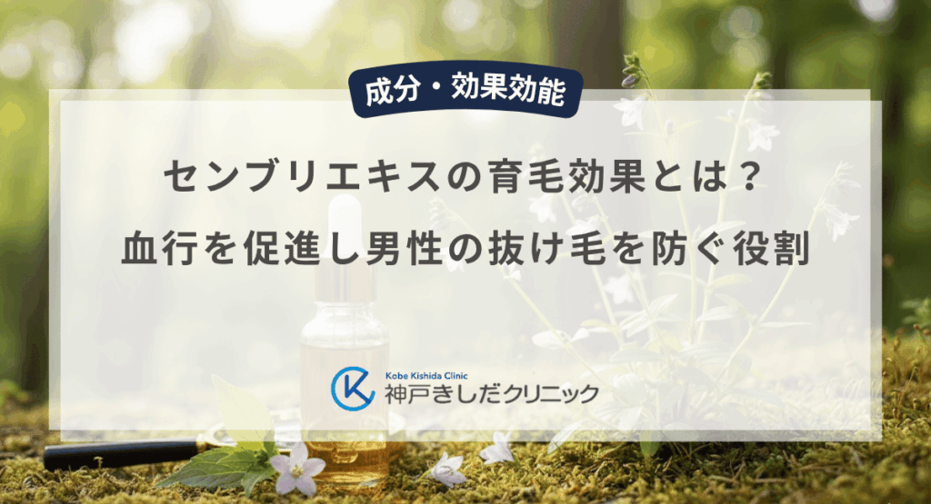 センブリエキスの育毛効果とは？血行を促進し男性の抜け毛を防ぐ役割