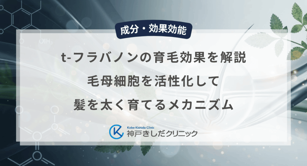 t-フラバノンの育毛効果を解説|毛母細胞を活性化して髪を太く育てるメカニズム
