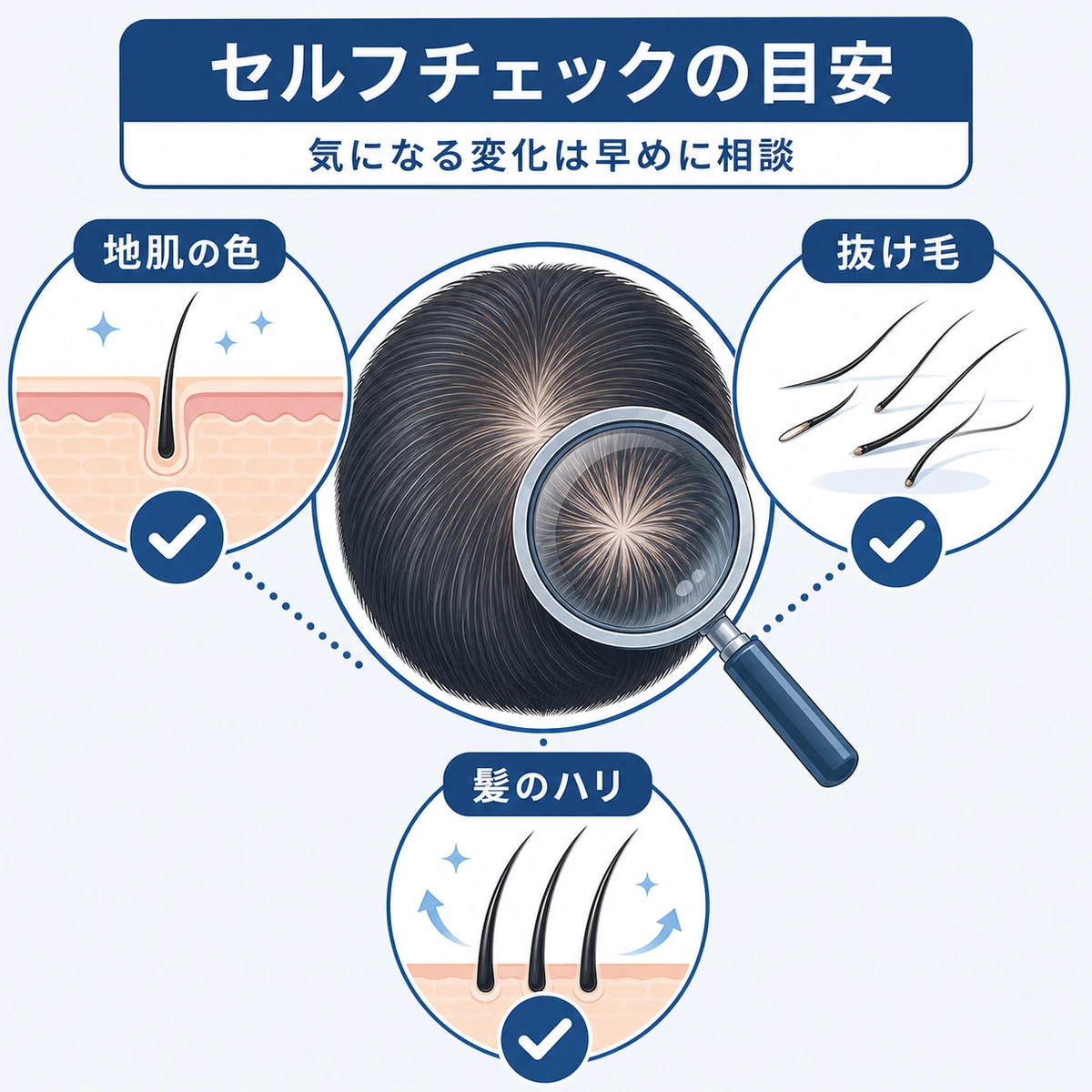 虫めがねで頭頂部を観察し地肌の色や抜け毛、髪のハリを確かめるセルフチェックの手順を表した医療イラスト