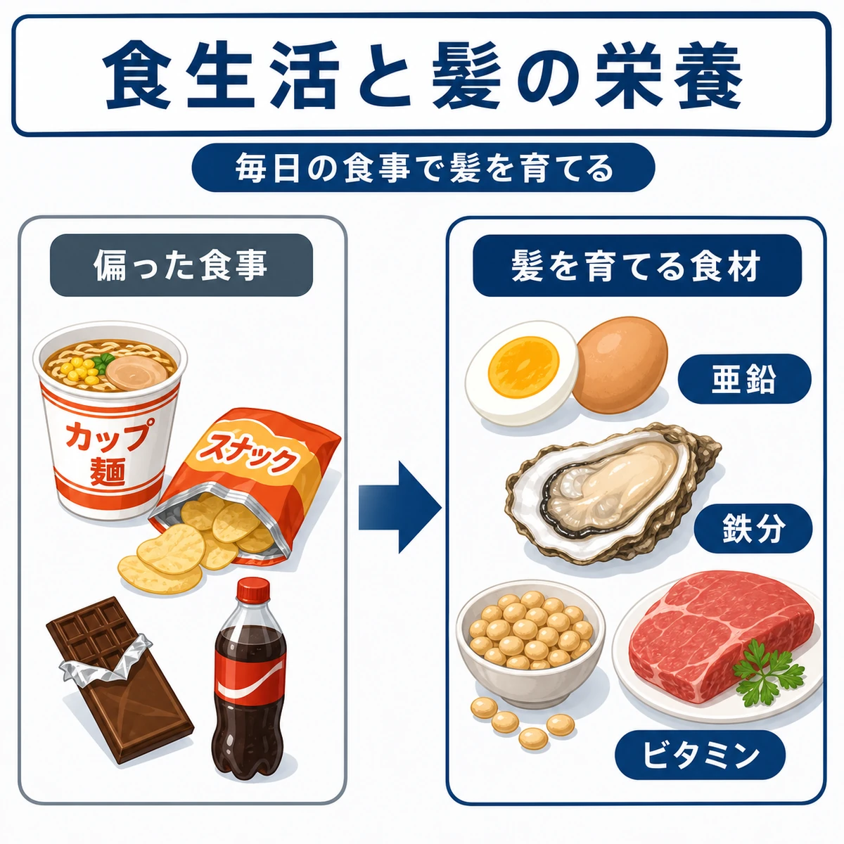 髪の健康を支える栄養素と食材を対比した医療イラスト
