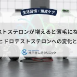 テストステロンが増えると薄毛になる?ジヒドロテストステロンへの変化と対策