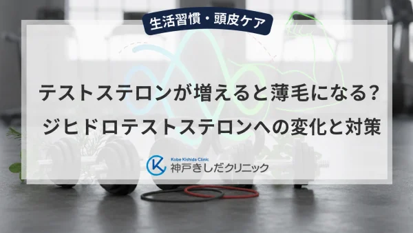 テストステロンが増えると薄毛になる?ジヒドロテストステロンへの変化と対策