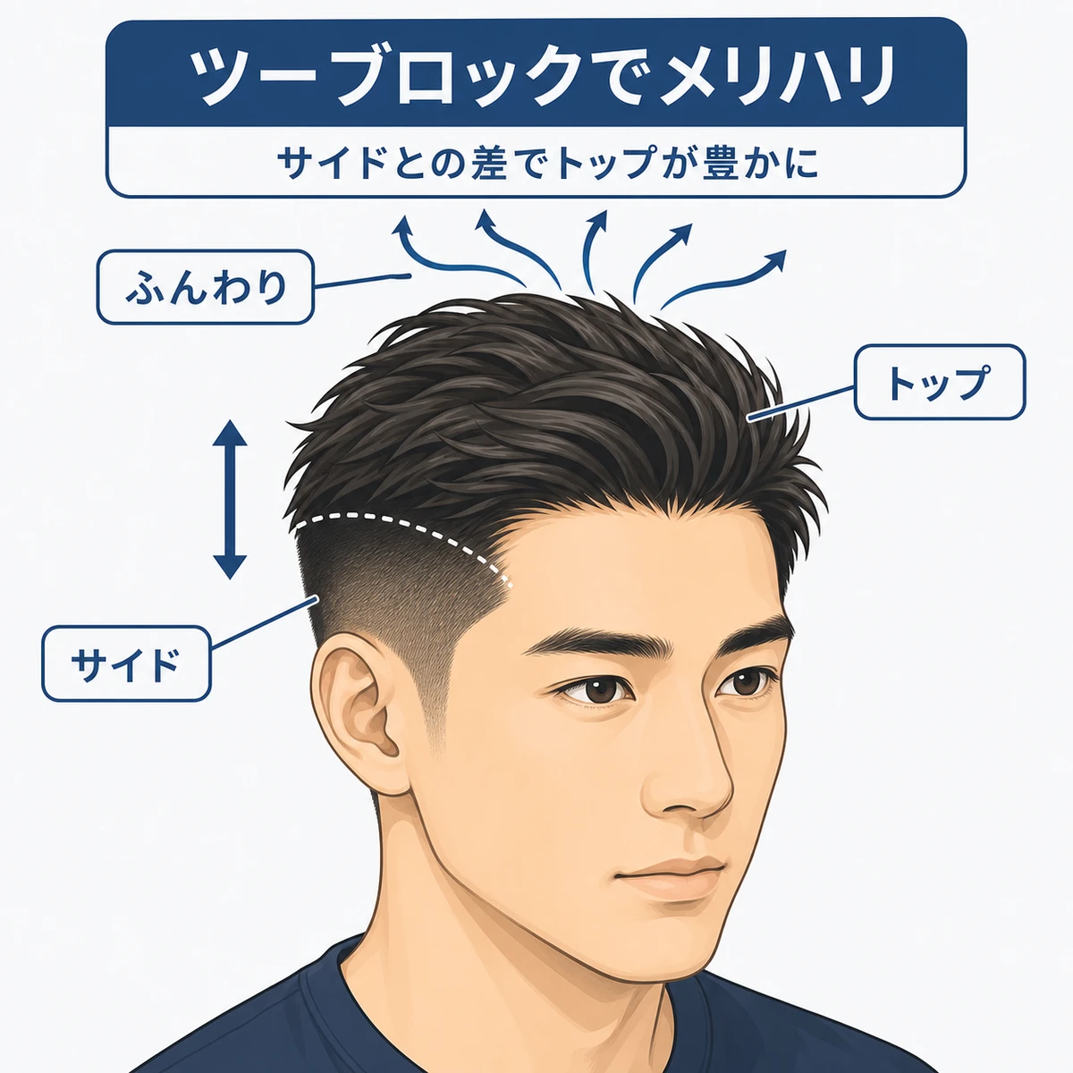 サイドを短くトップを長めに残すツーブロックのボリューム効果を表した男性ヘアの解説イラスト