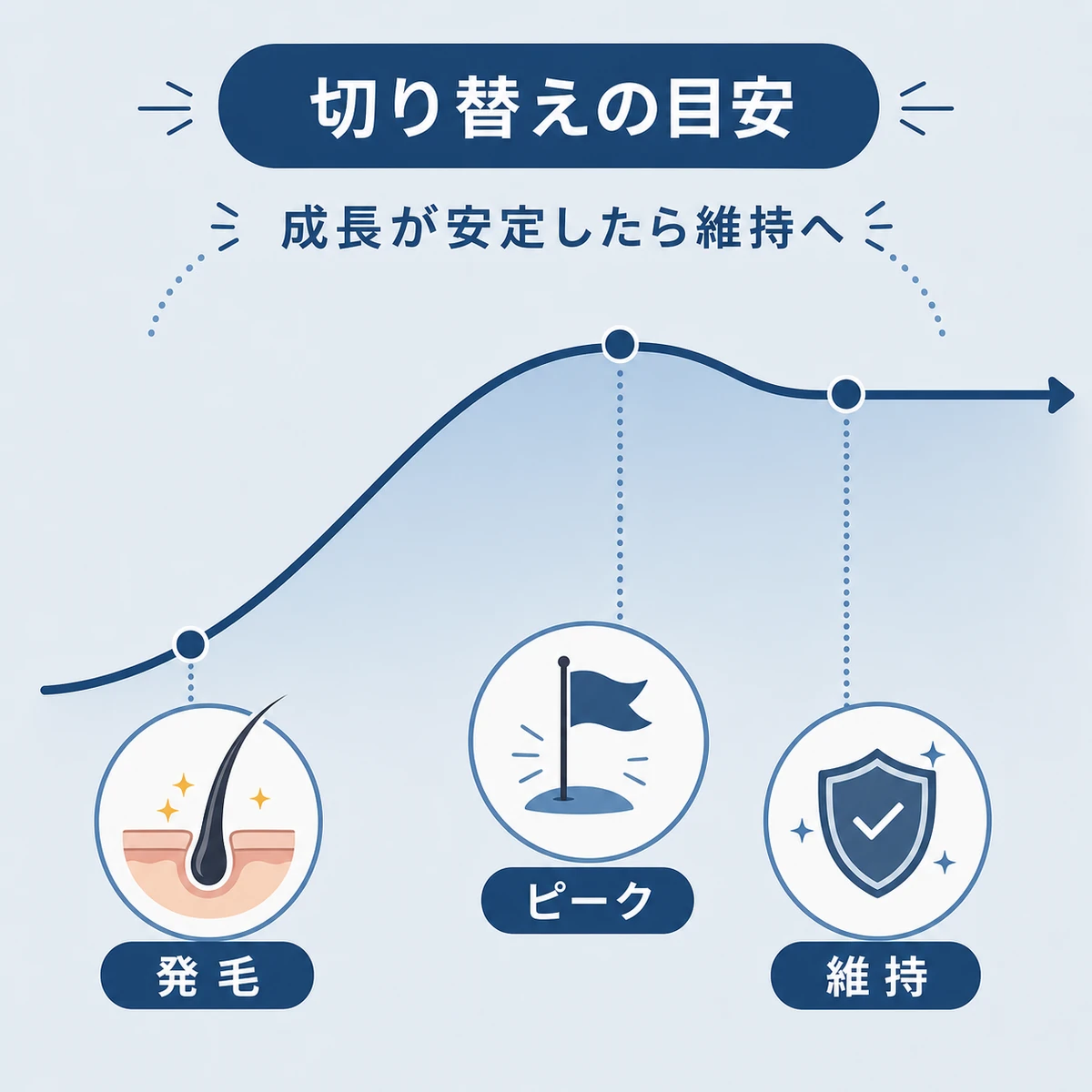 発毛がピークに達して安定し維持療法へ移るタイミングを表した医療イラスト