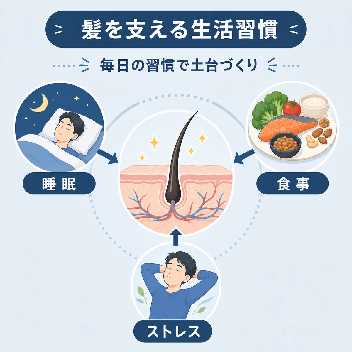 睡眠と食事とストレス管理が髪の健康を支える関係を表した医療イラスト