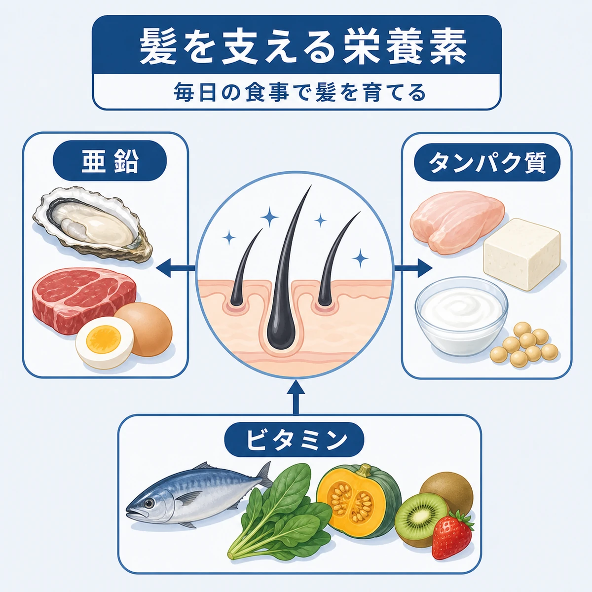 髪づくりに役立つ栄養素と食材を中央の毛髪に結びつけた医療イラスト
