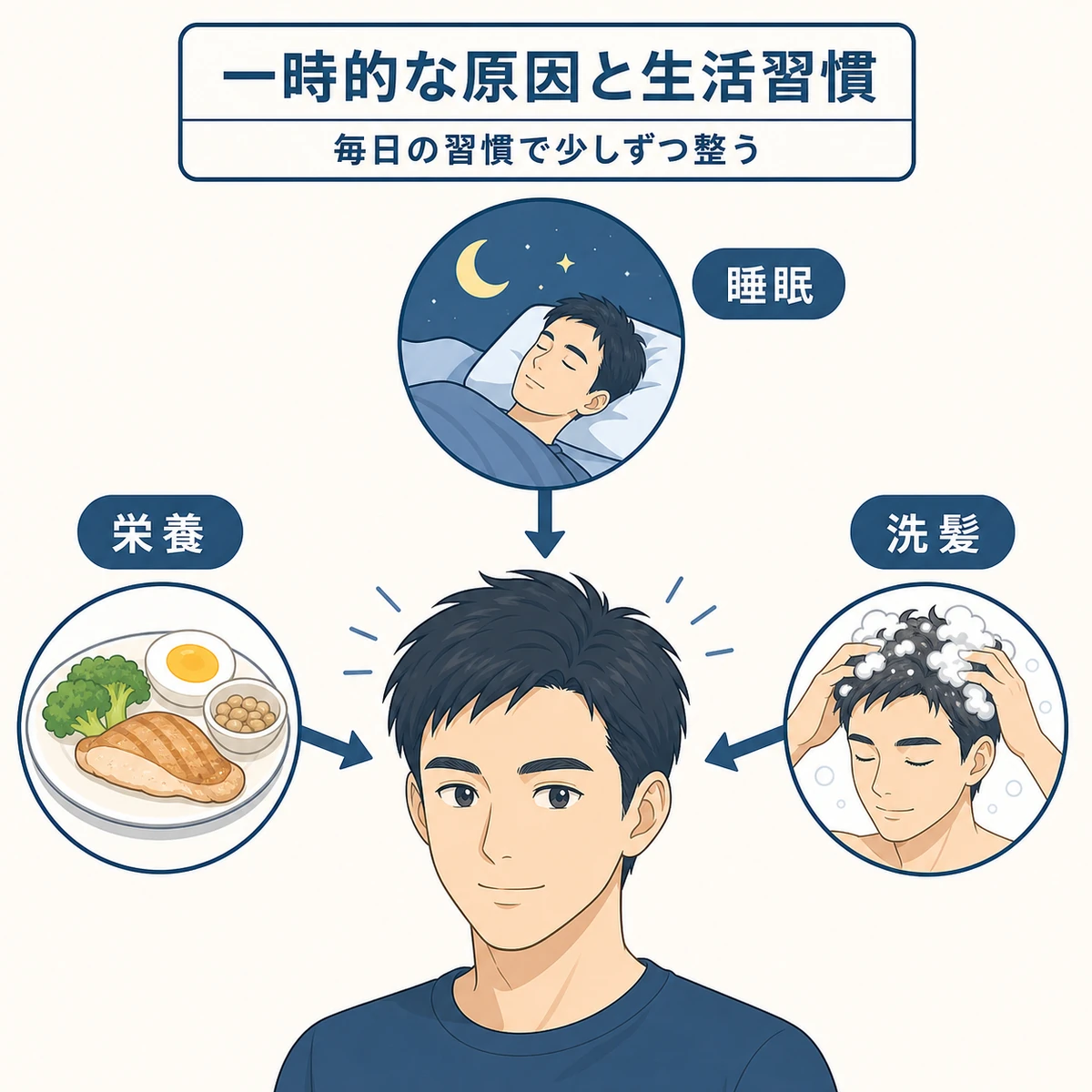 睡眠と栄養とやさしい洗髪が髪のボリュームに関わる様子を成人男性で表した生活習慣の医療イラスト