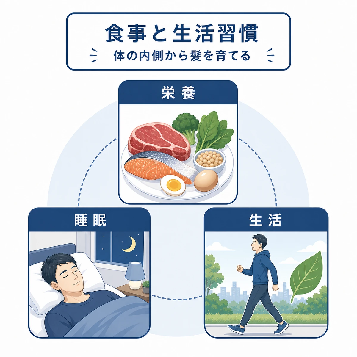 栄養と睡眠と生活習慣の3つで髪を育てる土台を示した医療イラスト