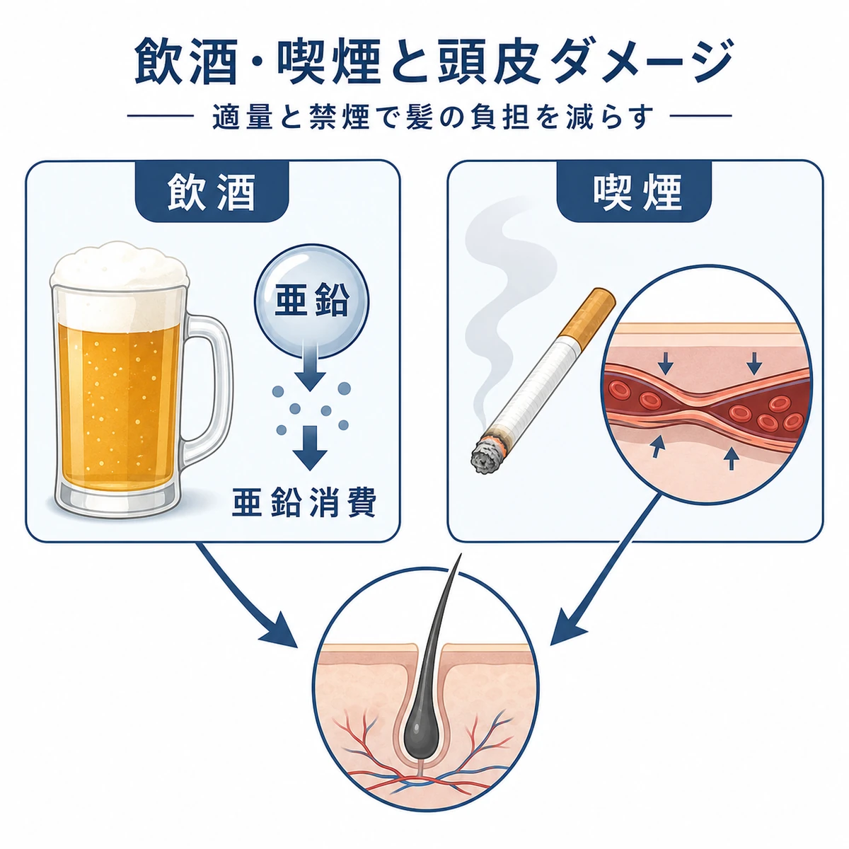 飲酒と喫煙が頭皮の血流や栄養を妨げる影響を左右で対比した医療イラスト