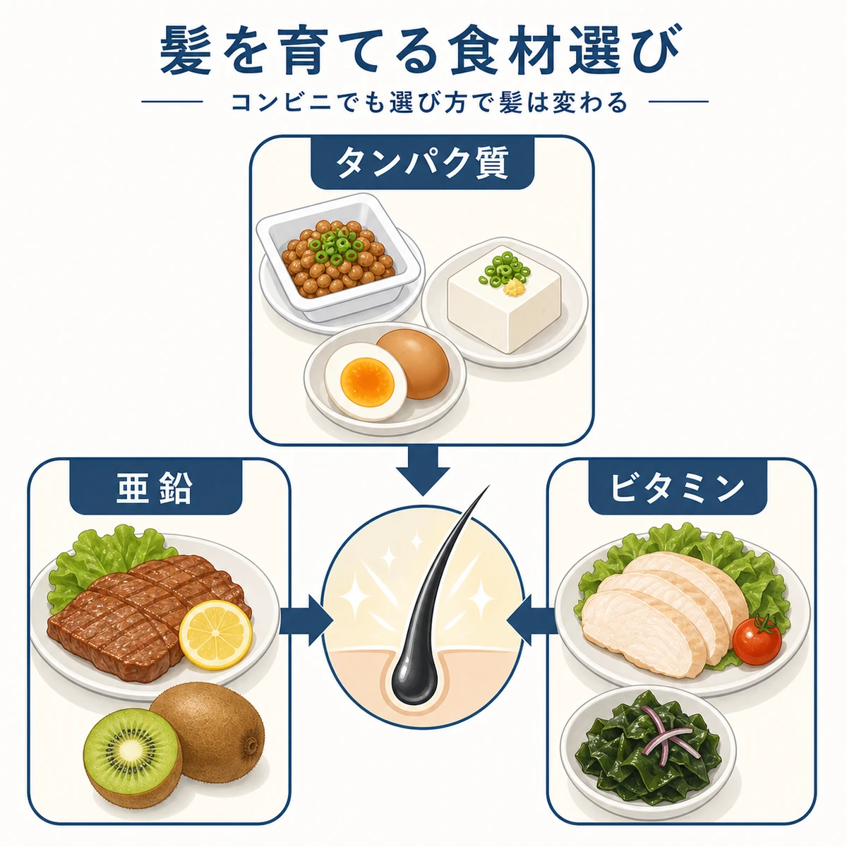 タンパク質や亜鉛を補える身近な食材を選ぶ食事改善の医療イラスト
