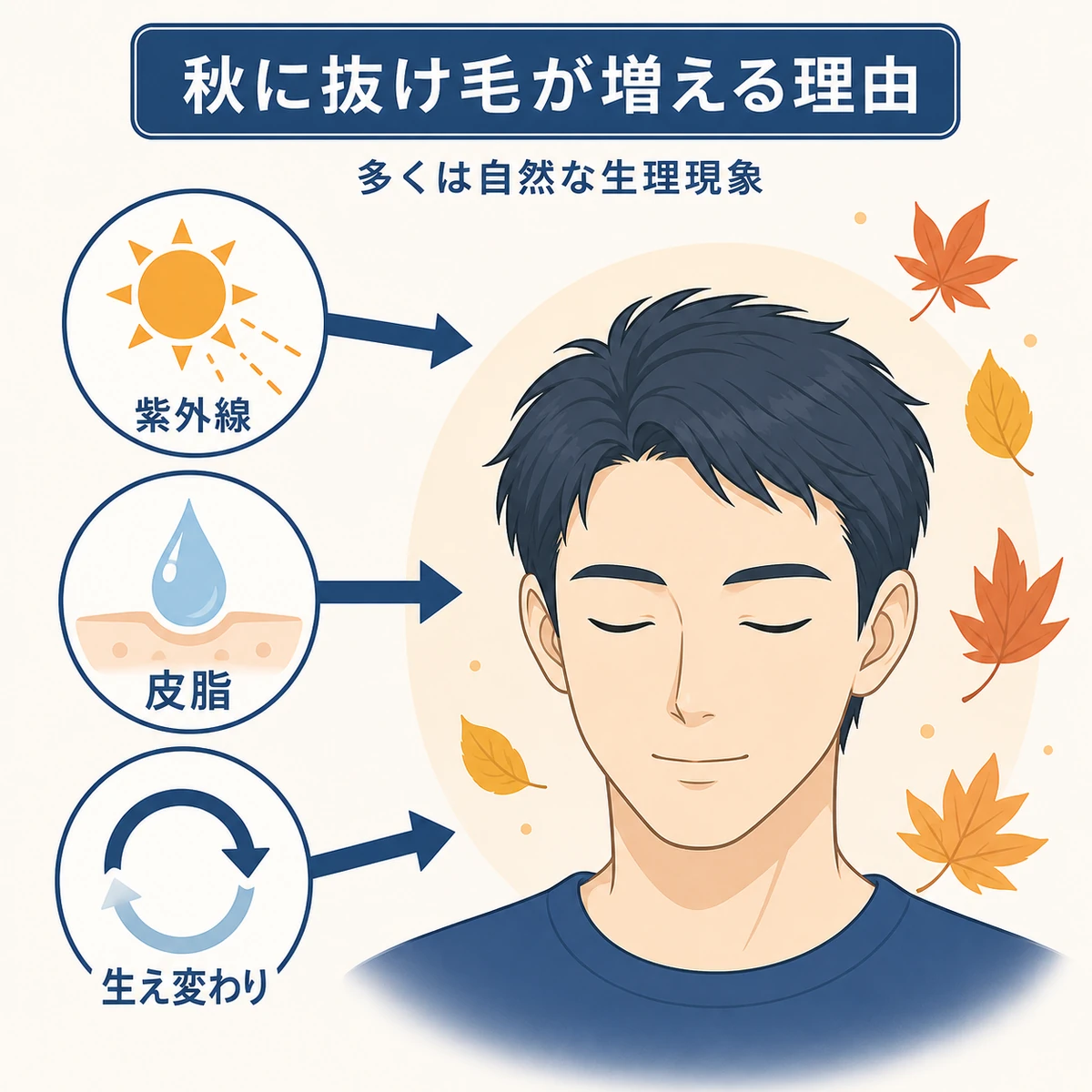 夏の紫外線や皮脂と季節の生え変わりが重なって秋の抜け毛につながる背景を表した医療イラスト