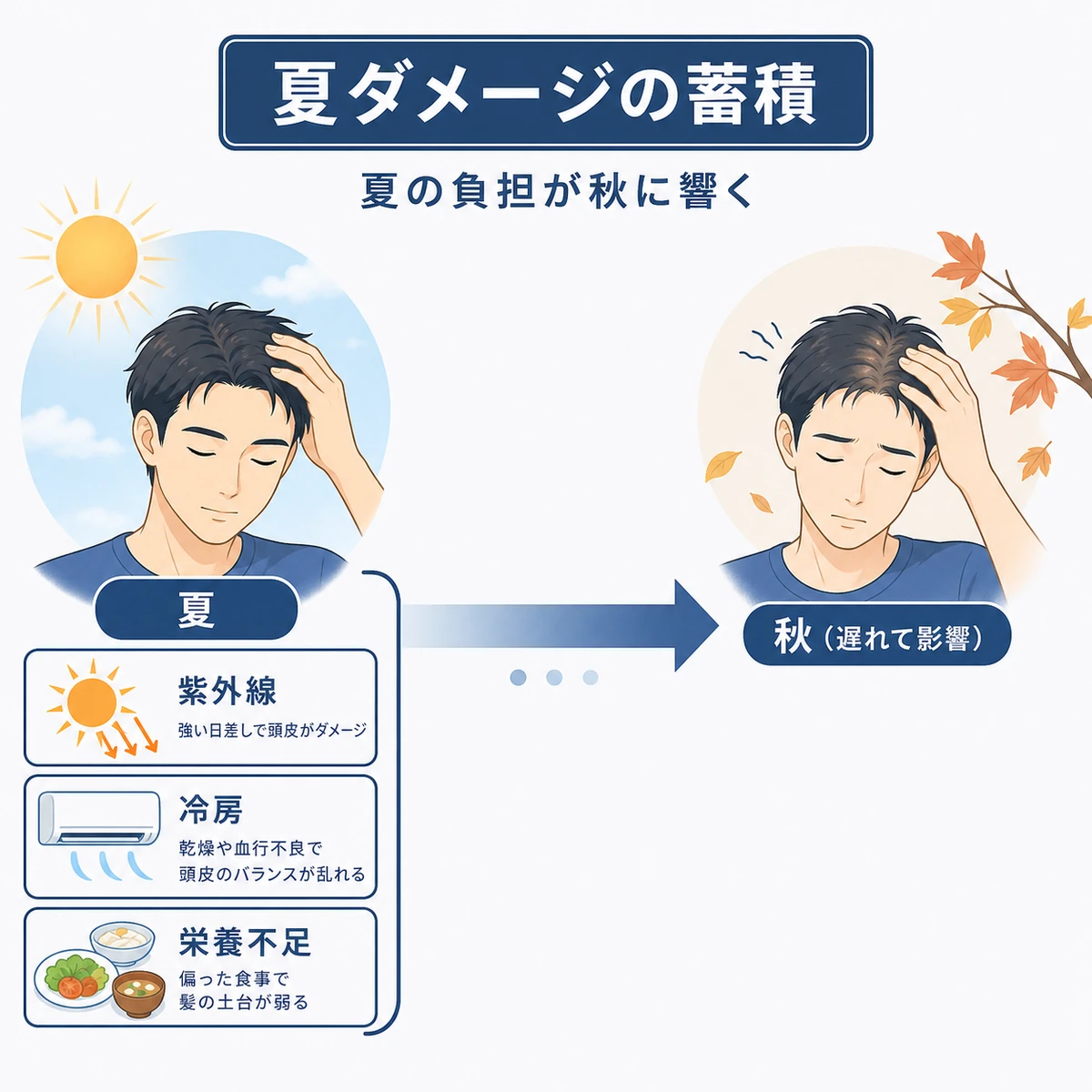 夏に受けた紫外線や冷えのダメージが時間差で秋の抜け毛につながる流れを表した医療イラスト