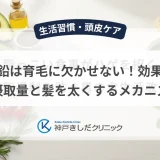 亜鉛は育毛に欠かせない！効果的な摂取量と髪を太くするメカニズム